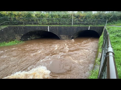 Danny Burn & Auchterarder Fish Ladder Water Levels 8th October 2023
