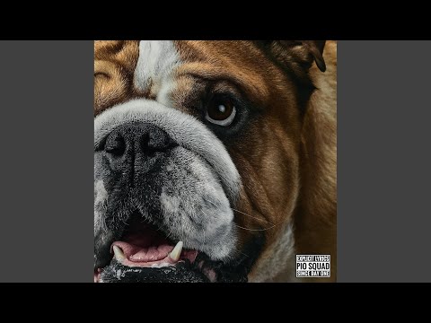 POZDRAVUJTE PENÍZE (feat. KAOT'F & Fyah Son Bantu)