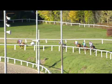 2018.10.07 Terje Dahl Champion Hurdle (NOR) - Somerville