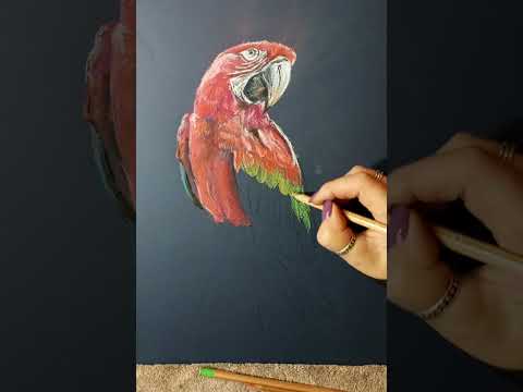 Proces 