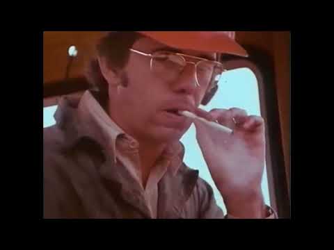 Shake Hands with Danger