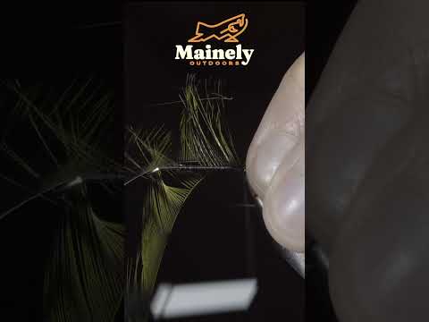 Try This BASS Streamer!