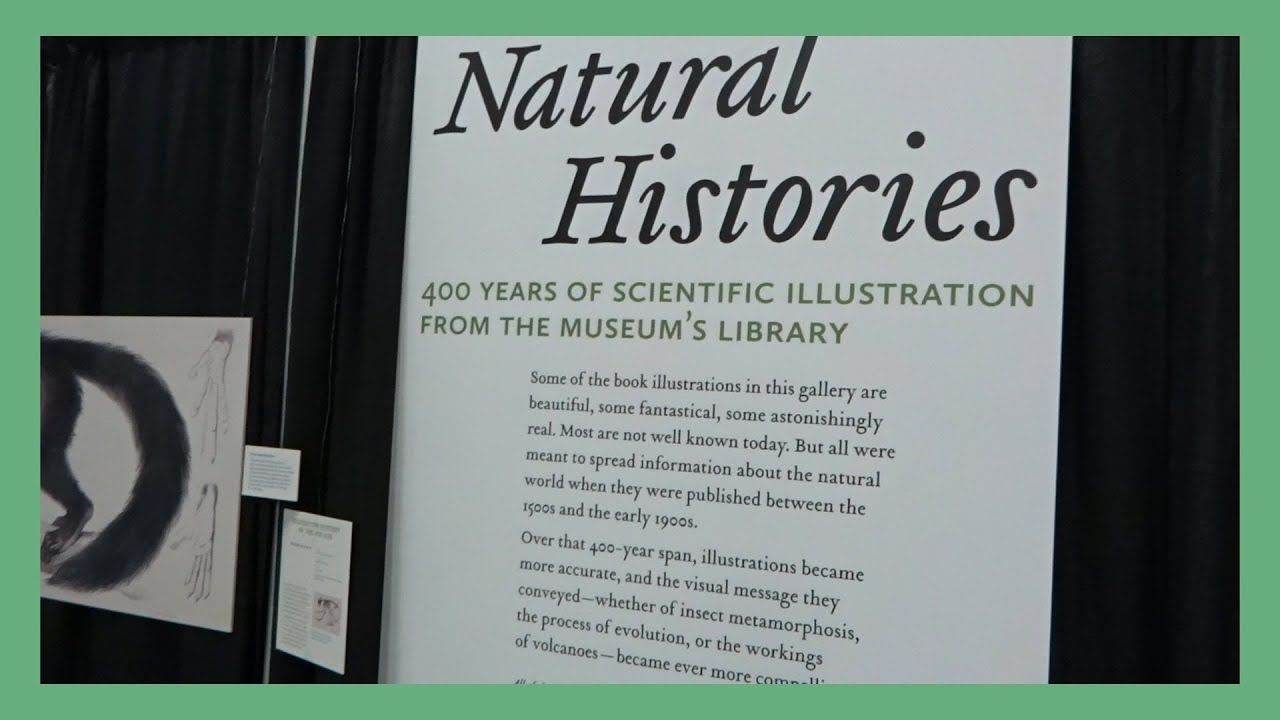 STUNNING SCIENTIFIC ILLUSTRATIONS