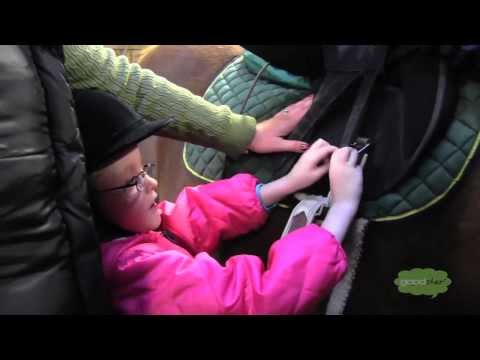 All Equine Services Free to Clients at BITS ETC