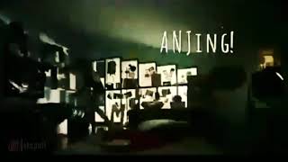 Download lagu Marah marah Anjing| WA story | Cuplikan film Vino G bastian mp3