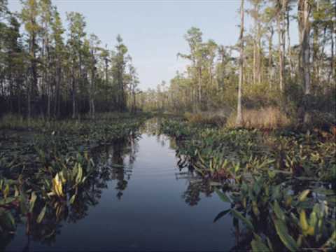 John Fahey & Backwards Sam Firk - Black Swamper's Blues Parts 1 & 2 (Rare Fontone Recordings)