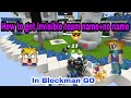 How to get invisible team name+No name in Blockman GO 💯% works