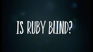 Is Ruby blind? We answer your question!