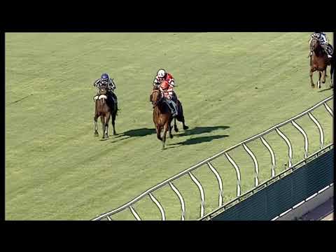 Galoppo 22/07/2020 - 1ª corsa