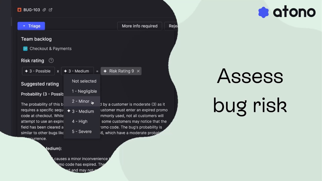 Assess bug risk