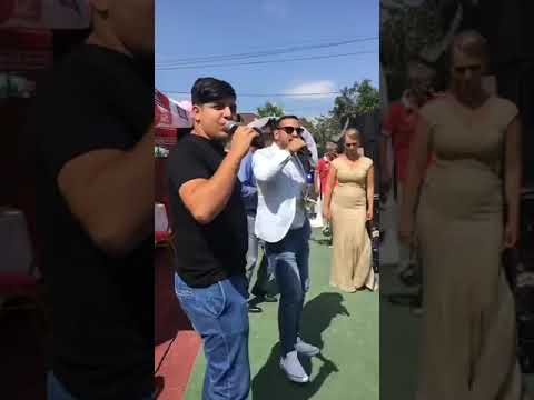 Alex Botea tzontzo TnT