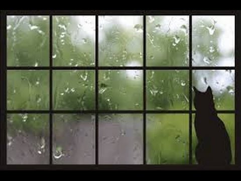 Musica Rilassante Per Riflettere - Leggere un Libro - Scrivere - Lasciarsi Andare - Long Playlist