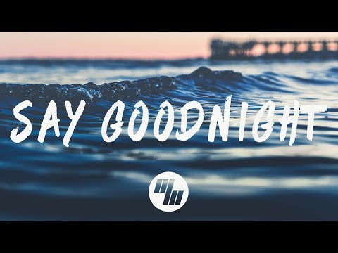 Aash Mehta - Say Goodnight (Lyrics / Lyric Video) ft. Capelle & Gavin Garris