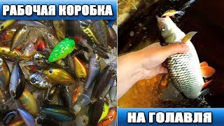 Коробка salmo рыболовная для приманок fly special