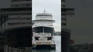 Not bad at all #cruise