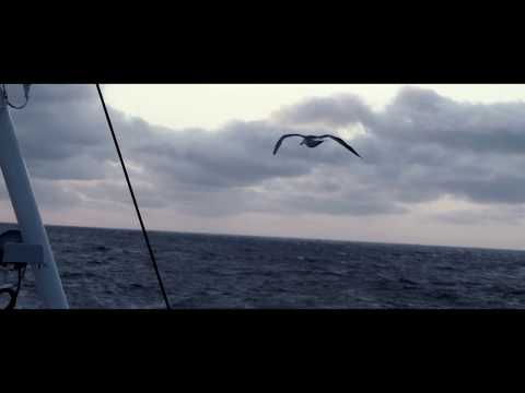 Mehr als Meer - Wir behalten Fisch im Auge