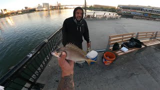 NYC-Long Island City Fishing 8/09/2025