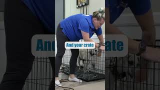 STOP Crate Barking With THIS Tip!