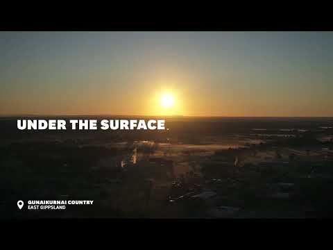 Under the Surface