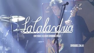 Elefantes en Europa Music Video