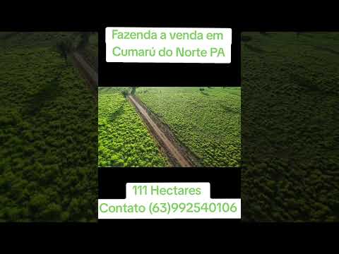 Fazenda a venda no Pará (Cumaru do Norte)