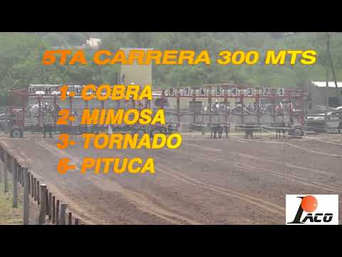 TORNADO SOHAR 19 12 21