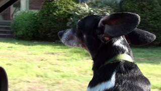 Big Wind (Is A&#39; Comin&#39;)