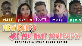 [Color Coded Lyrics] Pentatonix - New Rules x Are You that Somebody?