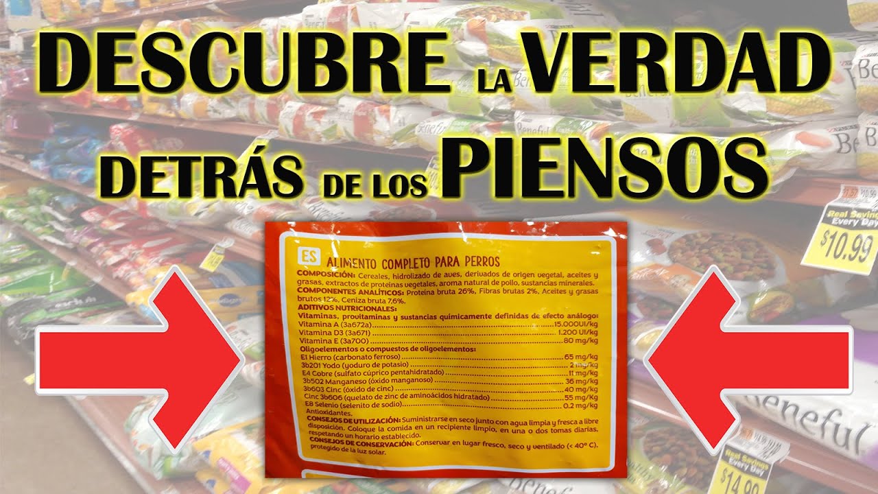 🥇 CÓMO ELEGIR el MEJOR PIENSO para PERROS | 12 CONSEJOS ✅