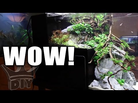 How to aquascape an aquarium