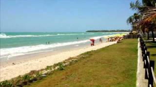 preview picture of video 'Praia de Tamandaré, Praia dos Carneiros, Campas e Pontal do Lira - Pernambuco - Brasil'