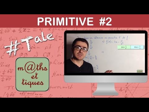Calculate a primitive (2) - Terminale