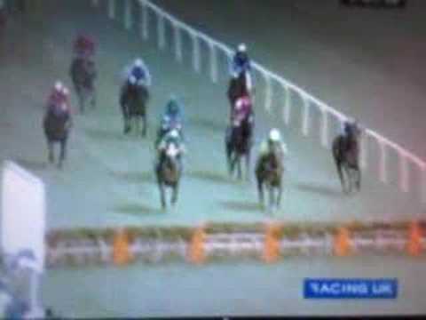 2008 Supreme Novices Hurdle Captain Cee Bee