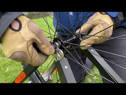 Lyon Adjustable Stretcher Wheel