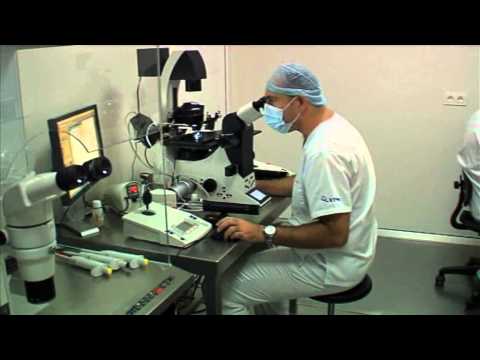 artificial insemination, in vitro fertilization, assisted reproduction, Spain, Alicante