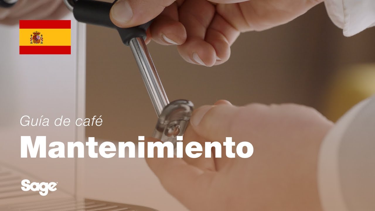 Cómo limpiar y desatascar la lanceta