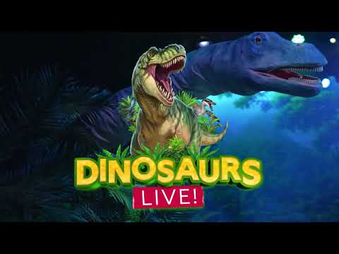 Video preview for null from Youtube