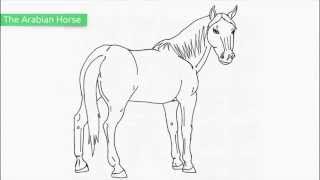 Top 25 Free Printable Horse Coloring Pages