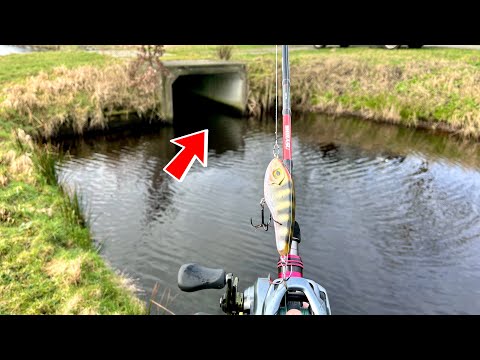 Hechtangeln am Polder