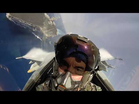 Pukin' Dogs On Cruise