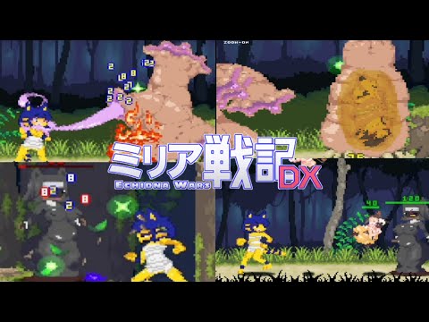 Echidna Wars Dx Ahnka Stage 2