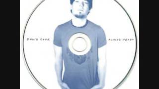 Silver Acoustic - david cook