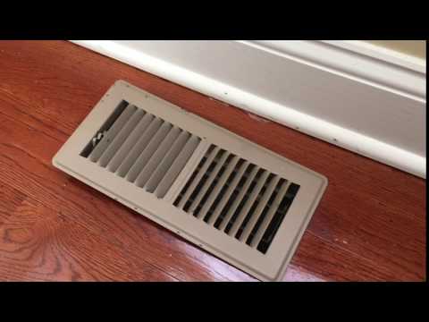 Odorous House Ants Invade Home in Tinton Falls, NJ