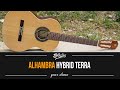 Alhambra Made An Eco Friendly Guitar And Sasha Struggles Playing Nylon Strings