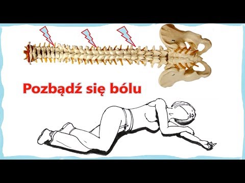 Urządzenie skurczu mięśni szkieletowych Kategoria kulturystyka damska