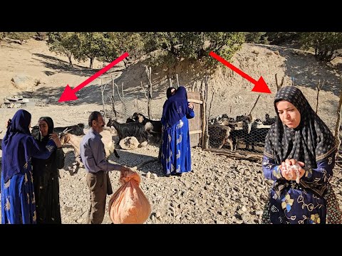 "Interesting Moments with Dena's Family: Help and Love at Home"