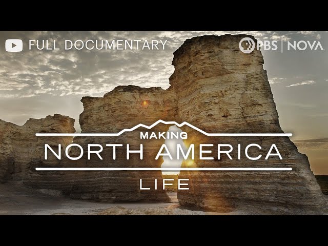 Making North America: When Dinosaurs Roamed | Full Documentary | NOVA | PBS SDDEFAULT Thumbnail