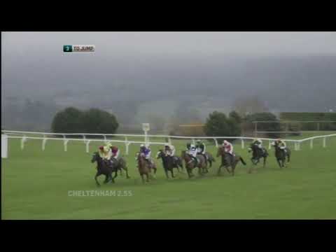 2011 Opus Energy Novices' Hurdle - Cheltenham Open meeting