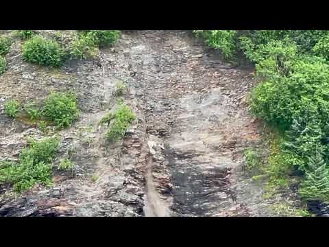 Mountain Goat stalked by Grizzly Bear