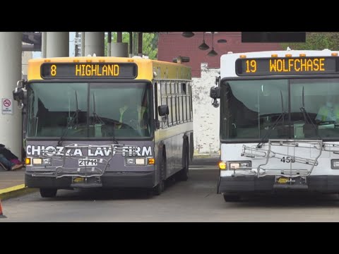 Mata Bus Schedule 50